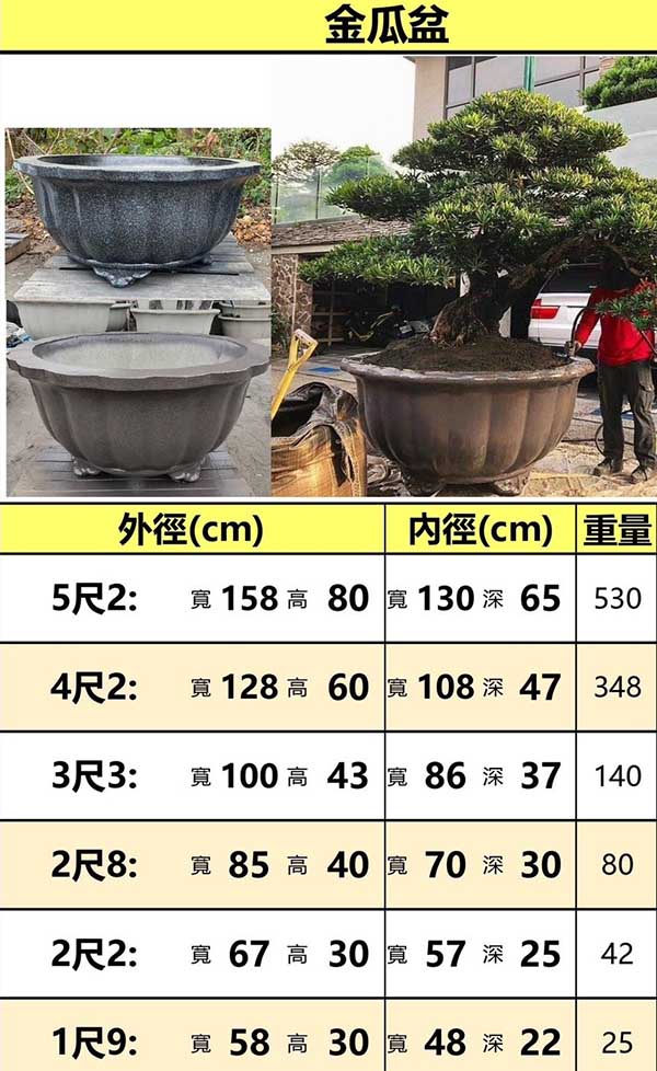 景觀植物