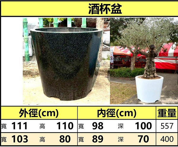 景觀植物