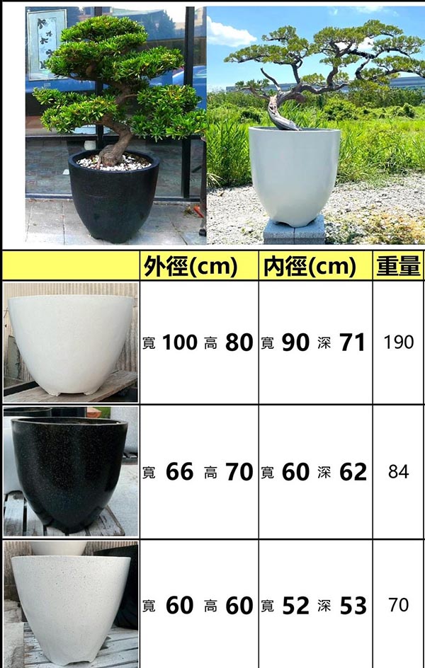 景觀植物
