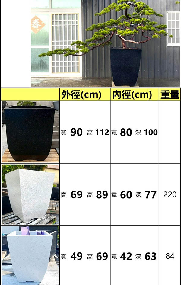 景觀植物